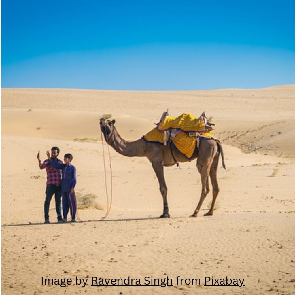 JOYVITA auf Reisen, die Wüste in Indien