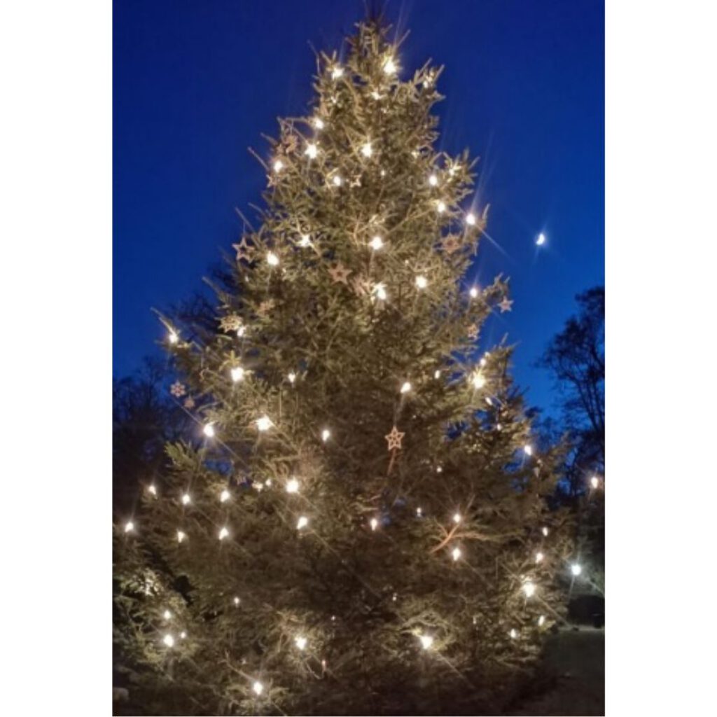 Weihnachtsbaum Dorfgalerie